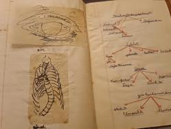 Defter- Işık Lisesi ilk kısım  Tabiat Defteri 1950 - Y üksel Ü.