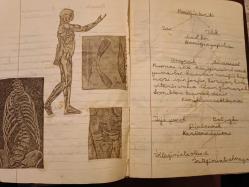 Defter- Işık Lisesi  5. Sınıf Tabiat Defteri 1949 - Aysel Ü.