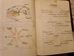 Defter- Işık Lisesi  5. Sınıf Tabiat Defteri 1949 - Aysel Ü.