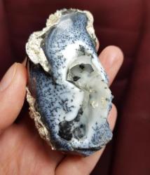 Nadir Merlinit (Dendritik Opal) Jeod – Doğal 3 Boyutlu Ağaç Benzeri Dendritler | Eşsiz Bir Örnek - Ağırlık: 81g - Benzersiz Koleksiyonluk Nadir Parça