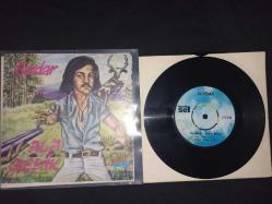 Serdar - Ala Geyik / Diyarbakır Van'a Bakar 45'lik Nadir Plak