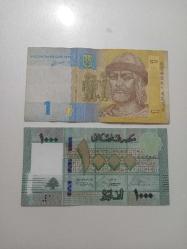 Koleksiyonluk 2 Adet Fiyatı