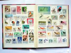 Kuşlar konulu 197 farklı yabancı damgalı pul - defterde