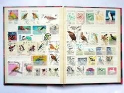 Kuşlar konulu 197 farklı yabancı damgalı pul - defterde