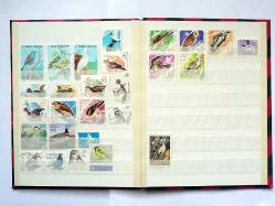 Kuşlar konulu 197 farklı yabancı damgalı pul - defterde