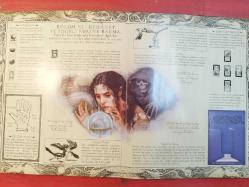 Büyü Bilimi - Merlin'in Sırları Kitabı [ CİLTLİ ]