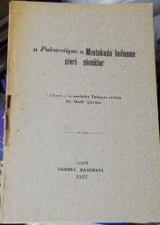 paleanetique mıntıkada bulunan sivri sinekler