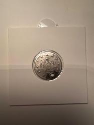 II. Abdülhamit  2 Kuruş 2,2~2,4 gr. Gümüş (0,83 Ayar)