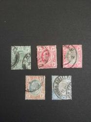 İngiliz sömürge Güney Afrika Transvaal Pulları