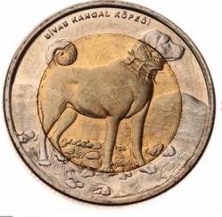 2010 SİVAS KANGAL KÖPEĞİ BİMETAL HATIRA PARASI
