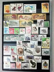 Hayvanlar konulu 68 farklı yabancı damgalı pul