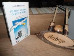 MARTIYA UÇMAYI ÖĞRETEN KEDİ