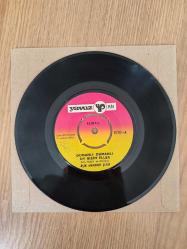 AŞIK MAHZUNİ ŞERİF - Dumanlı Dumanlı Oy Bizim Eller  Türkiye Basım  45 lik Plak - KAPAKSIZ 2.el