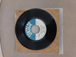 Behiye Aksoy – İçimde Bin Türlü Keder / Yalan Yıllar - 1969 Türkiye Basım 45 Lik Plak