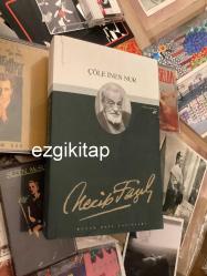 çöle inen nur - necip fazıl