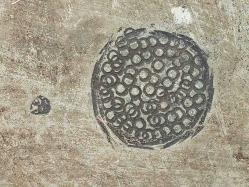 Eskilerden Damgalı ve Kalem İşçilikli Bakır Osmanlı Ekmeklik