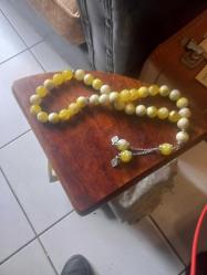 1,5 cm habbe büyüklüğü  Uzunkuk 50 cm.Aipaga imame