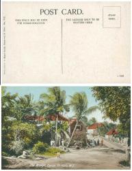 İngiliz Adaları Eski Çizim Kartpostal, Kullanılmamış