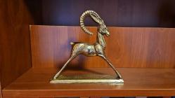 PİRİNÇ DAĞ KEÇİSİ ( kaideli )