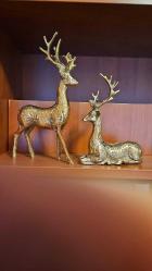 PİRİNÇ GEYİK BÜYÜK GEYİK AİLESİ