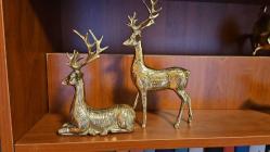 PİRİNÇ GEYİK BÜYÜK GEYİK AİLESİ