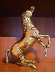 PİRİNÇ ŞAMPİYON  AT  ( Dev boy ) yeni