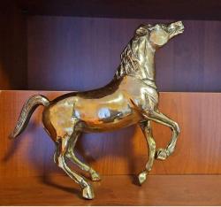 PİRİNÇ ŞAMPİYON  AT  ( Dev boy ) yeni