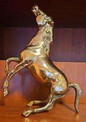 PİRİNÇ ŞAMPİYON  AT  ( Dev boy ) yeni