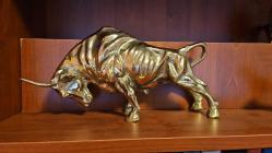 PİRİNÇ BOĞA  ( DEV boy )