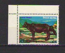 LOT.20 » Nepal 1980 -  Seri Parçası - Fauna - Kuıt  -   MNH - DAMGASIZ