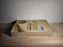 TEHLİKELİ İLİŞKİLER (1.Baskı)