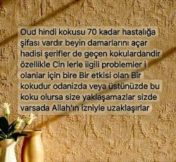 %100 saf orjinal Agarwood india OUD hindistan UD esansı 3 ml-Udi Hindi-