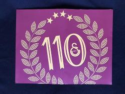 Galatasaray Spor Klübü 110. Yılı Zarf Pul Kiti Tam Set (Kolesiyonluk)