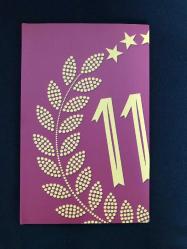 Galatasaray Spor Klübü 110. Yılı Zarf Pul Kiti Tam Set (Kolesiyonluk)