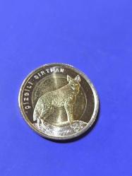 Anadolu'ya Özgü Hayvan Serisi  Çizgili Sırtlan