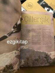 dilop dergisi sayı 4 eylül 2018 (hacivat karagöz kürt siyaseti selahattin demirtaş cemil bafavi casime celil mahmut baran firat ceweri)
