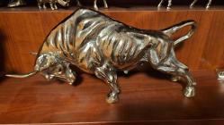 PİRİNÇ BOĞA  ( DEV boy )