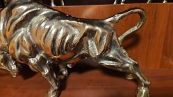 PİRİNÇ BOĞA  ( DEV boy )