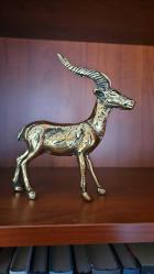 PİRİNÇ GEYİK EĞRİ BOYNUZLU