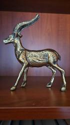 PİRİNÇ GEYİK EĞRİ BOYNUZLU