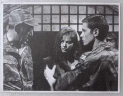 ALAIN DELON * ANTHONY QUİNN * CLAUDİA CARDİNALE - Zafer yolları filminden ~ Ebat : 15 X 12