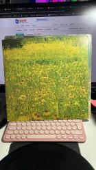 HAROLD MELVIN & BLUE NOTES - WAKE UP EVERYBODY - CBS RECORDS 1975 33'LÜK LONG PLAY - KAPAK YIPRANMIŞ PLAK İYİ DURUMDA... - VINLY