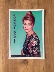 Songül Karlı Dönem Poster ( 24,5 cm X 34 cm )