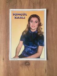Songül Karlı Dönem Poster ( 24,5 cm X 34 cm )