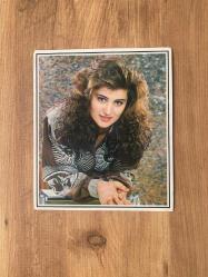 Songül Karlı Dönem Poster ( 24,5 cm X 28,5 cm )