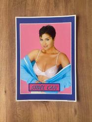 Sibel Can Dönem Poster ( 24,5 cm X 34 cm )