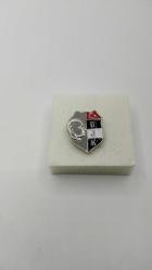 ROZET, BEŞİKTAŞIMIZ VE ATATÜRK ÜN MİNELİ VE GÜMÜŞ KAPLAMA KULLANILMAMIŞ KUTUSUNDA ÖZEL ROZETİ 598