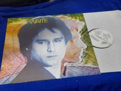JOHN WAITE IGNITION  PLAK   33 LP