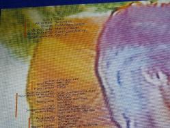 JOHN WAITE IGNITION  PLAK   33 LP