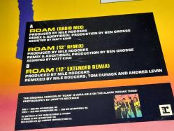 THE B-52'S ROAM PLAK   - MAXI LP